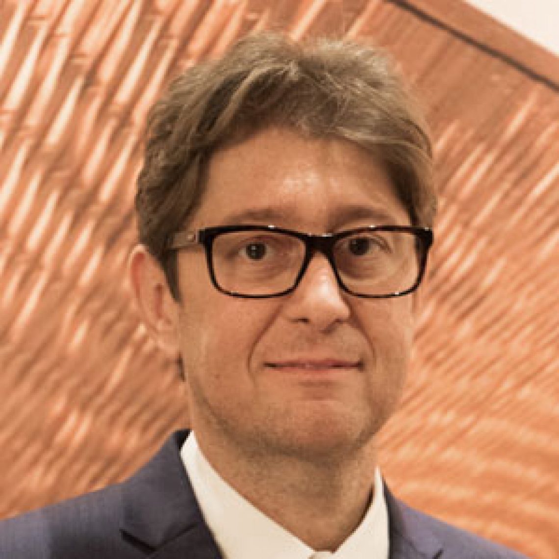 Fábio Pallaretti Calcini